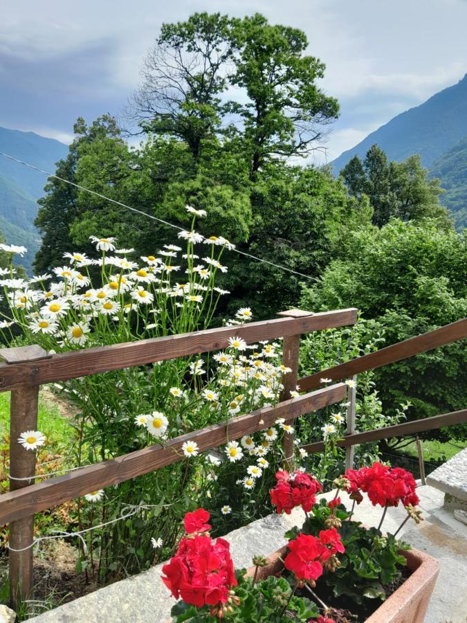 Casa All'Alpe Gaggetto B & B Anzino Exterior foto